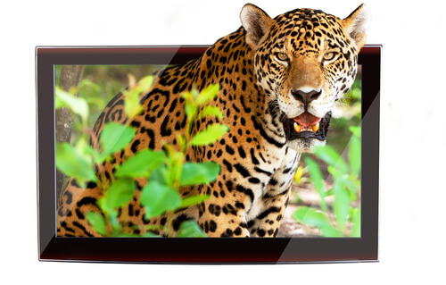 Stereoscopic 3D Stereoscopic 3D